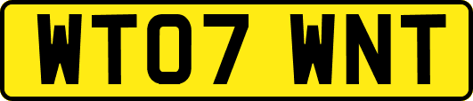 WT07WNT