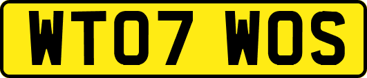 WT07WOS
