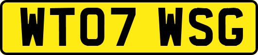 WT07WSG