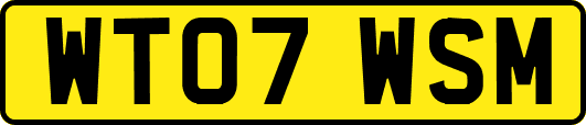 WT07WSM