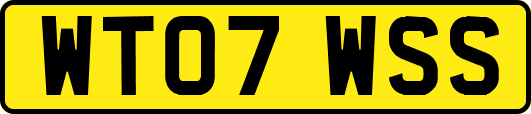 WT07WSS