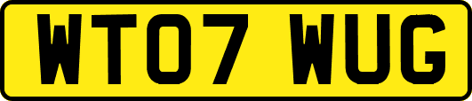 WT07WUG