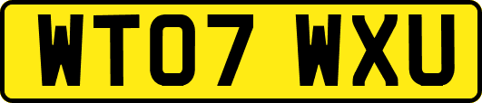 WT07WXU
