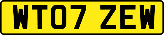 WT07ZEW