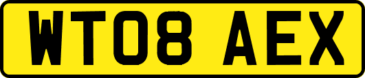 WT08AEX