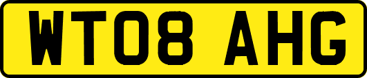 WT08AHG
