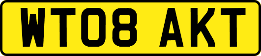 WT08AKT