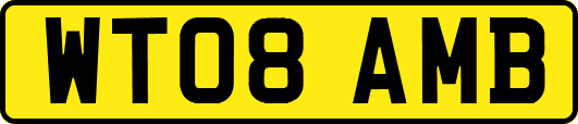 WT08AMB