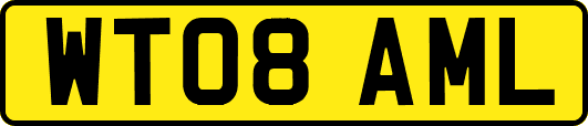 WT08AML