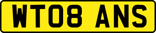 WT08ANS