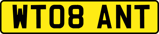WT08ANT