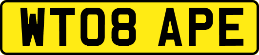 WT08APE