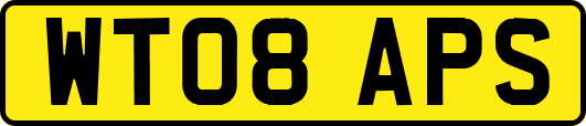 WT08APS