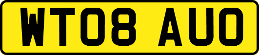 WT08AUO