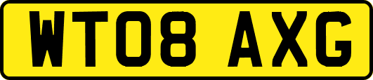 WT08AXG