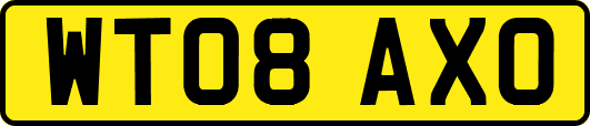 WT08AXO