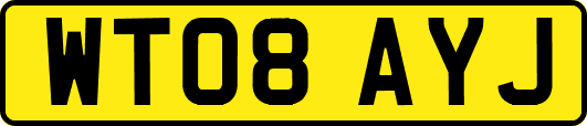 WT08AYJ