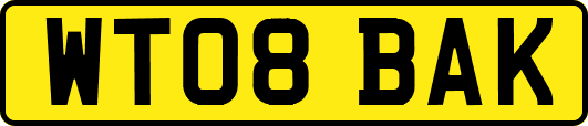 WT08BAK