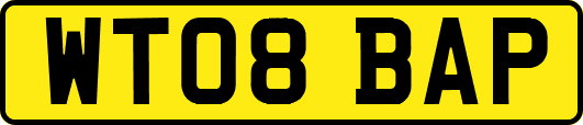 WT08BAP