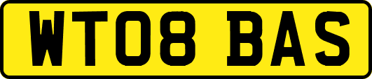 WT08BAS