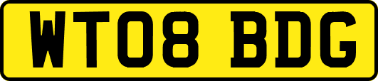WT08BDG