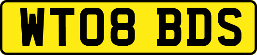 WT08BDS