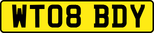 WT08BDY
