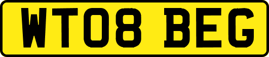 WT08BEG