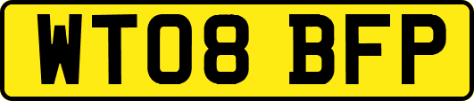 WT08BFP