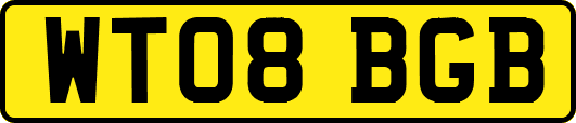 WT08BGB