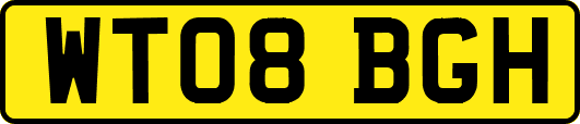 WT08BGH