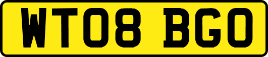 WT08BGO