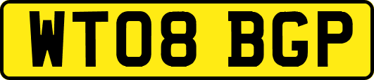 WT08BGP