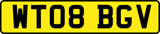 WT08BGV