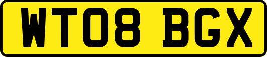 WT08BGX