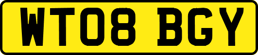 WT08BGY