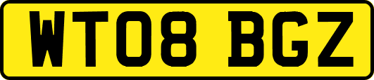 WT08BGZ