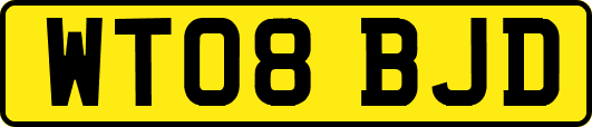 WT08BJD