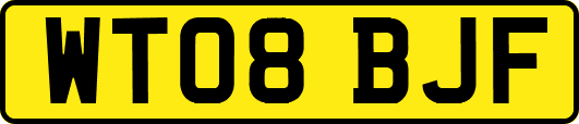 WT08BJF