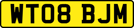 WT08BJM