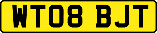 WT08BJT