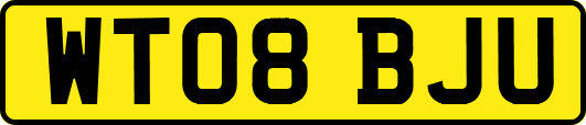 WT08BJU