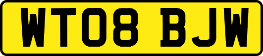 WT08BJW