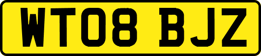WT08BJZ