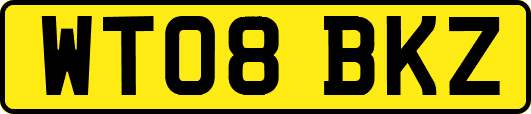 WT08BKZ