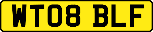 WT08BLF