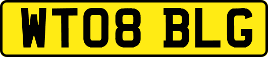 WT08BLG