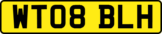 WT08BLH