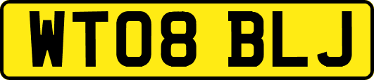 WT08BLJ