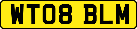 WT08BLM